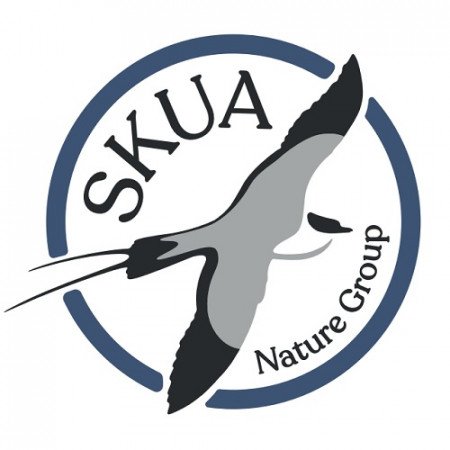 Logo Skua